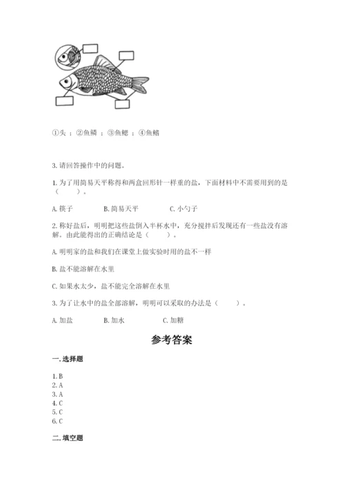 教科版一年级下册科学期末测试卷精品带答案.docx