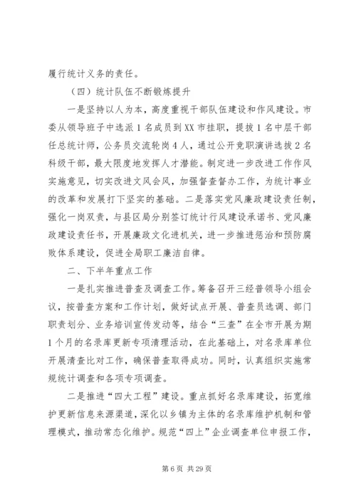 市统计局上半年工作总结及下半年工作计划 (2).docx
