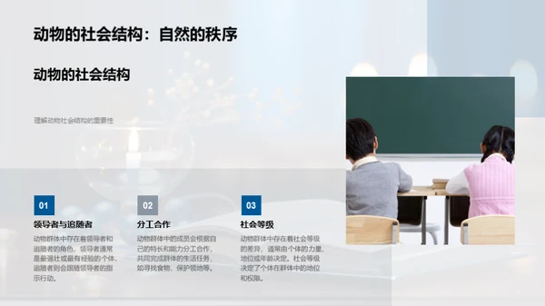 启蒙小学者的学科之旅