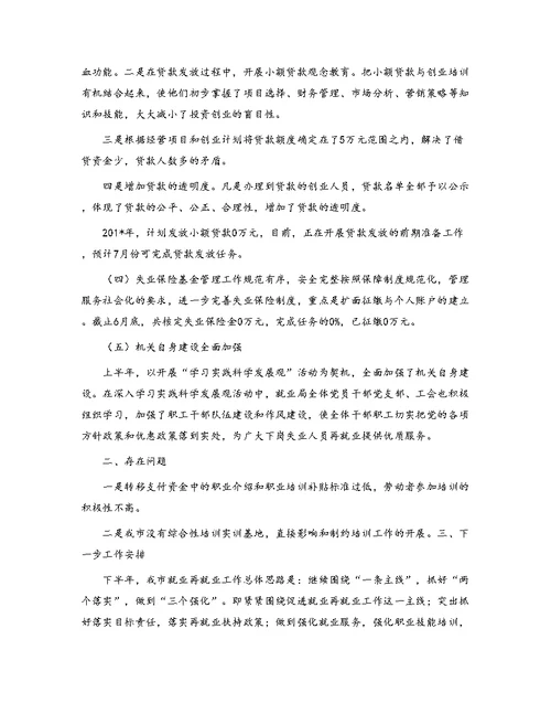 就业局09年上半年工作总结
