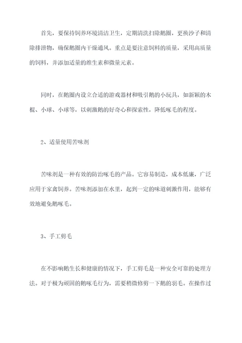 鹅啄毛小妙招