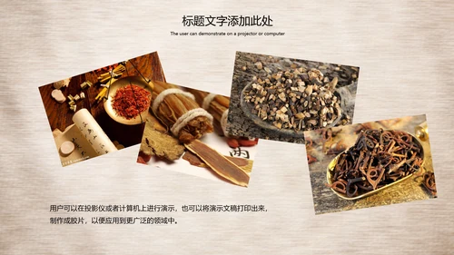 传统中医学中医院中医文化中草药PPT模板