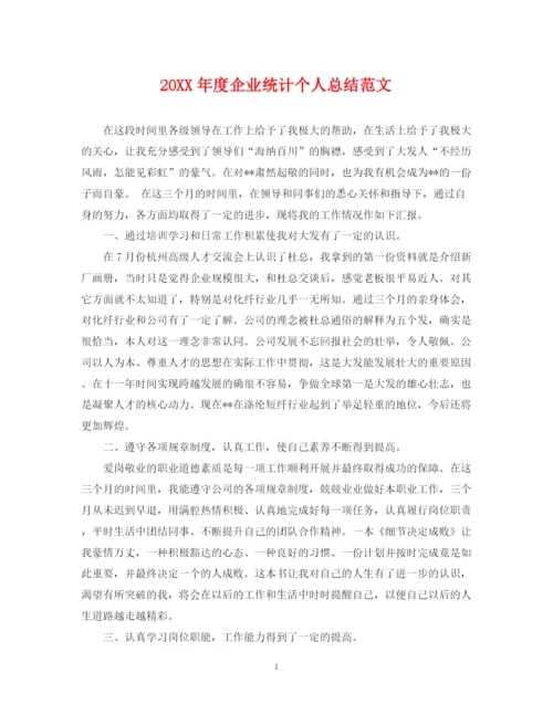 精编之度企业统计个人总结范文.docx