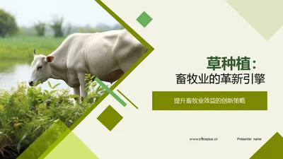 草种植：畜牧业的革新引擎