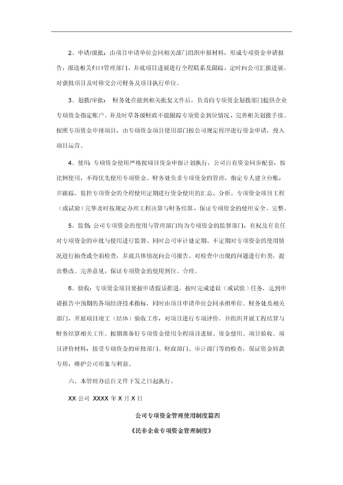 公司专项资金管理使用制度篇一.docx