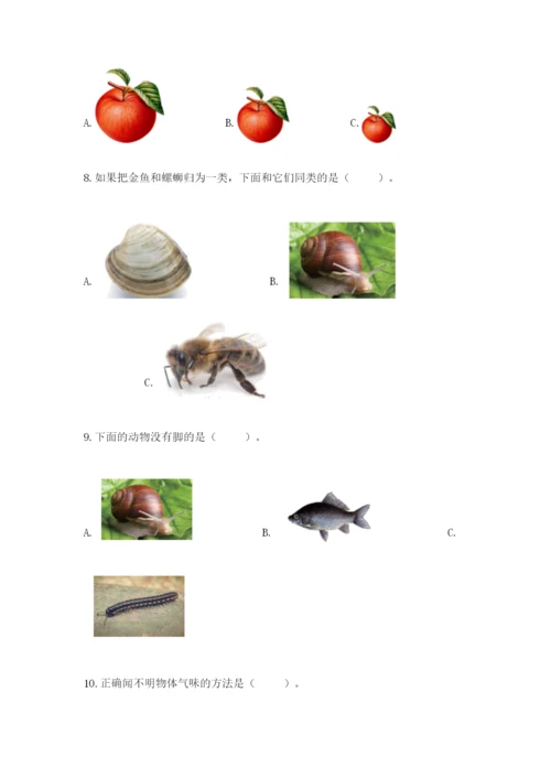 教科版一年级下册科学期末测试卷（预热题）.docx