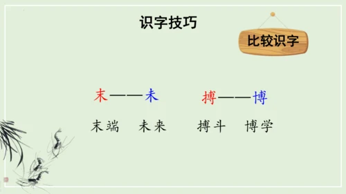 第15课《小虾》（教学课件）