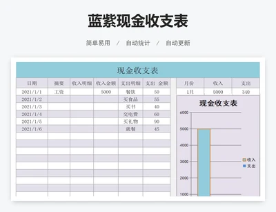 蓝紫现金收支表