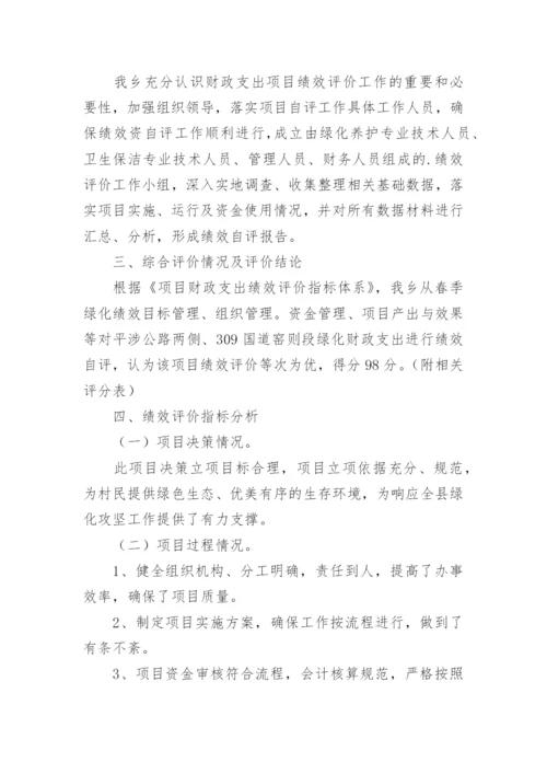 项目绩效评价报告.docx