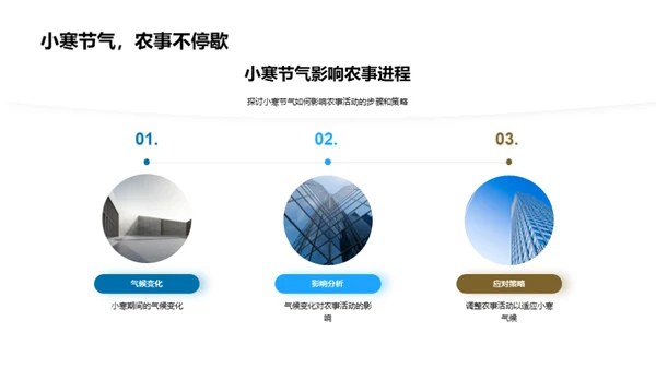 小寒节气农业策略