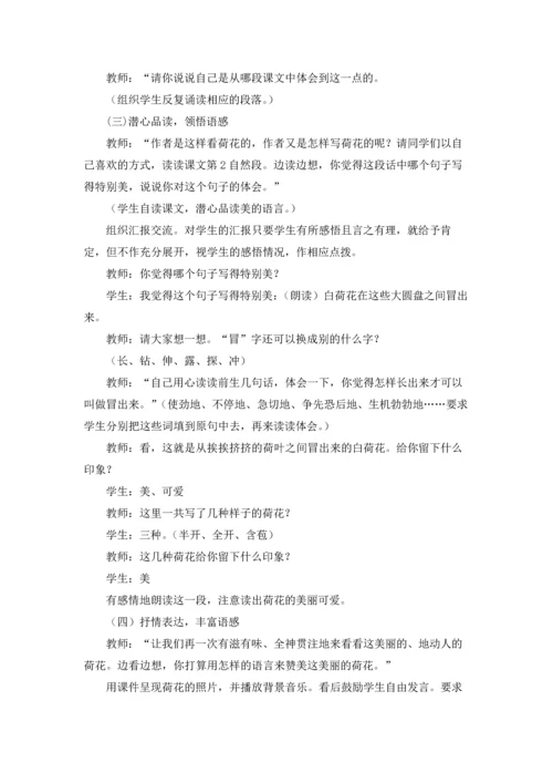 荷花教案范文汇编八篇.docx