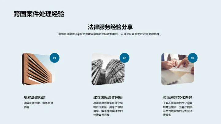 律师年度工作综述