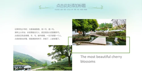 最美乡村旅游新农村乡村振兴PPT模板