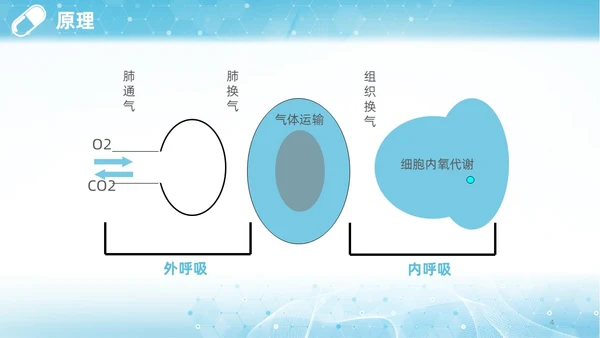 蓝色渐变简约商务呼吸困难的护理医学护理肺部培训PPT模板呼吸衰竭