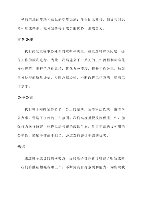 局班子自身建设情况汇报