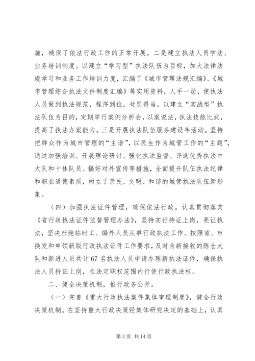 城管局依法行政自查情况报告.docx