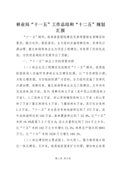 林业局“十一五”工作总结和“十二五”规划汇报.docx