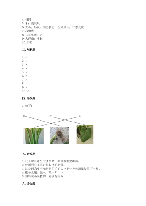 教科版一年级上册科学期末测试卷审定版.docx