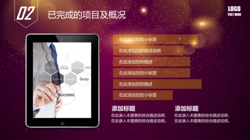 唯美2016年商务工作总结述职报告PPT