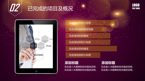唯美2016年商务工作总结述职报告PPT