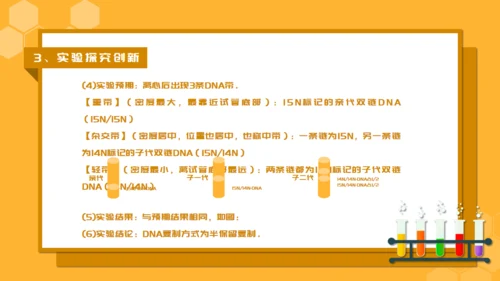 人教版生物课《DNA的复制》通用PPT课件