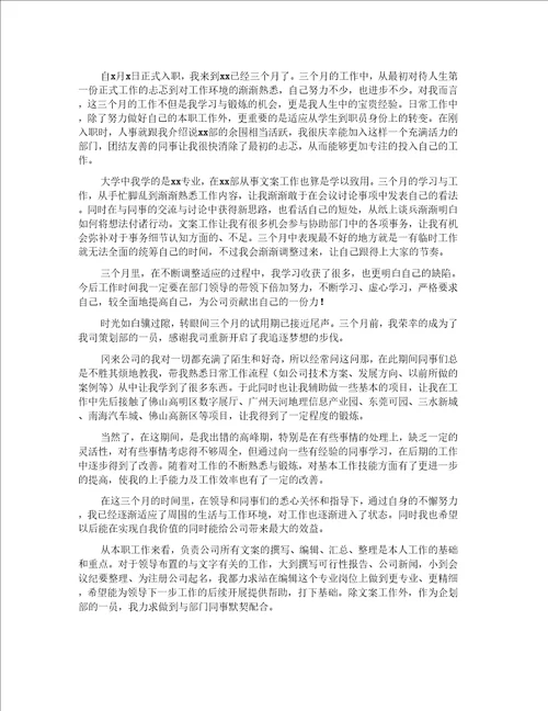 文案试用期工作总结