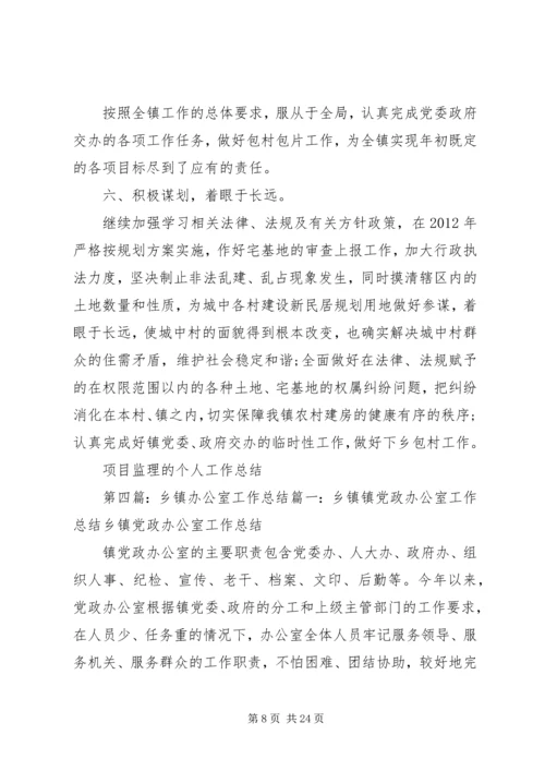 乡镇规划办公室工作总结.docx