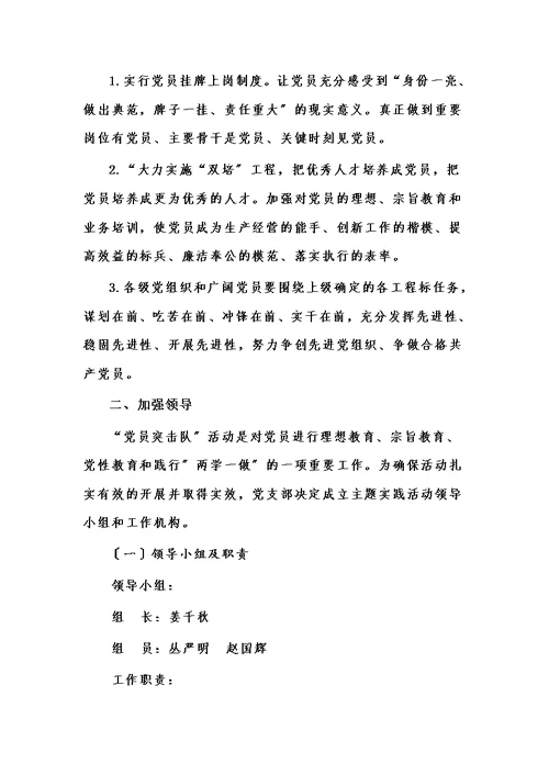 【精选】党员突击队活动方案