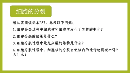 2.2.1细胞通过分裂产生新细胞课件2023--2024学年人教版生物七年级上册(共28张PPT)