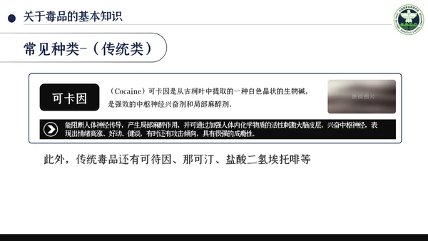 国际禁毒日珍爱生命远离禁毒教育知识PPT模板