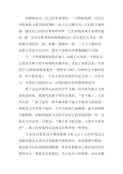 有关大自然启示的作文.docx