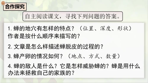 21《蝉》课件