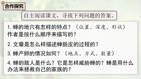 21《蝉》课件