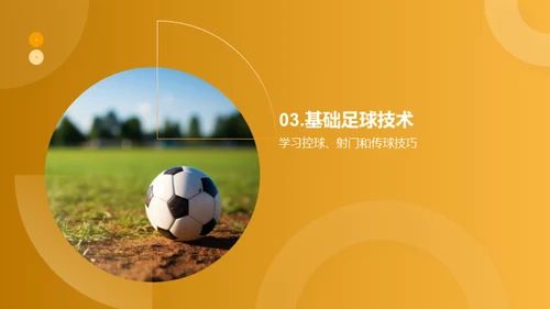 足球知识全解析