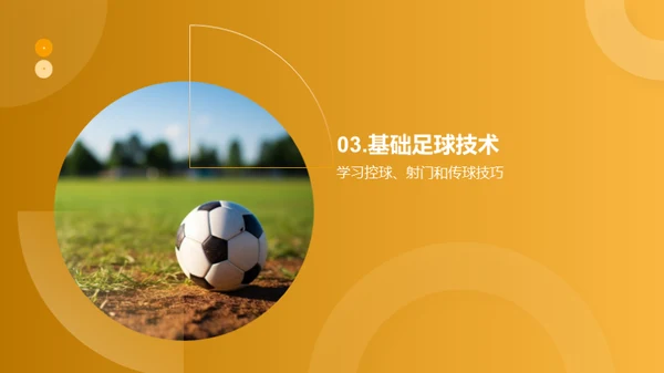 足球知识全解析