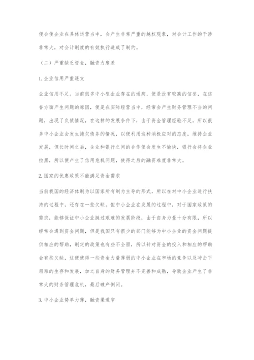 中小民营企业财务管理存在的问题及其对策.docx