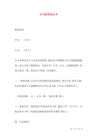 公司集资协议书.docx