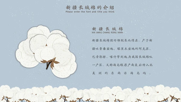 新疆长绒棉通用PPT模板