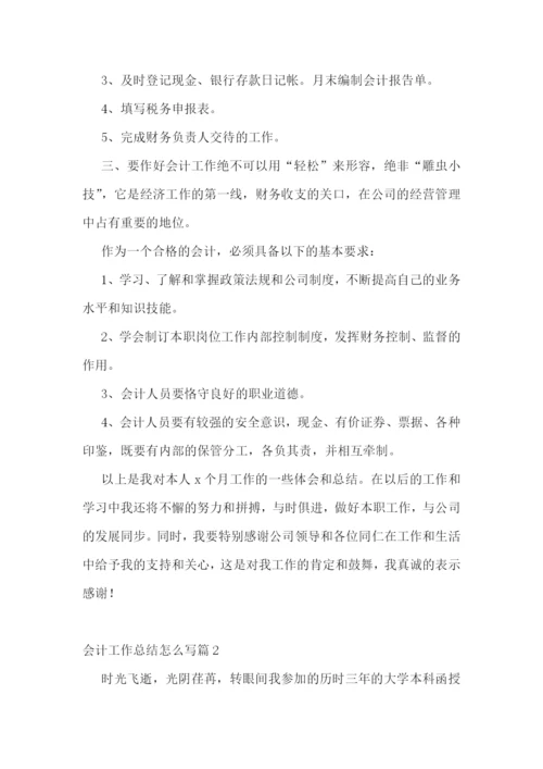 会计工作总结怎么写10篇.docx