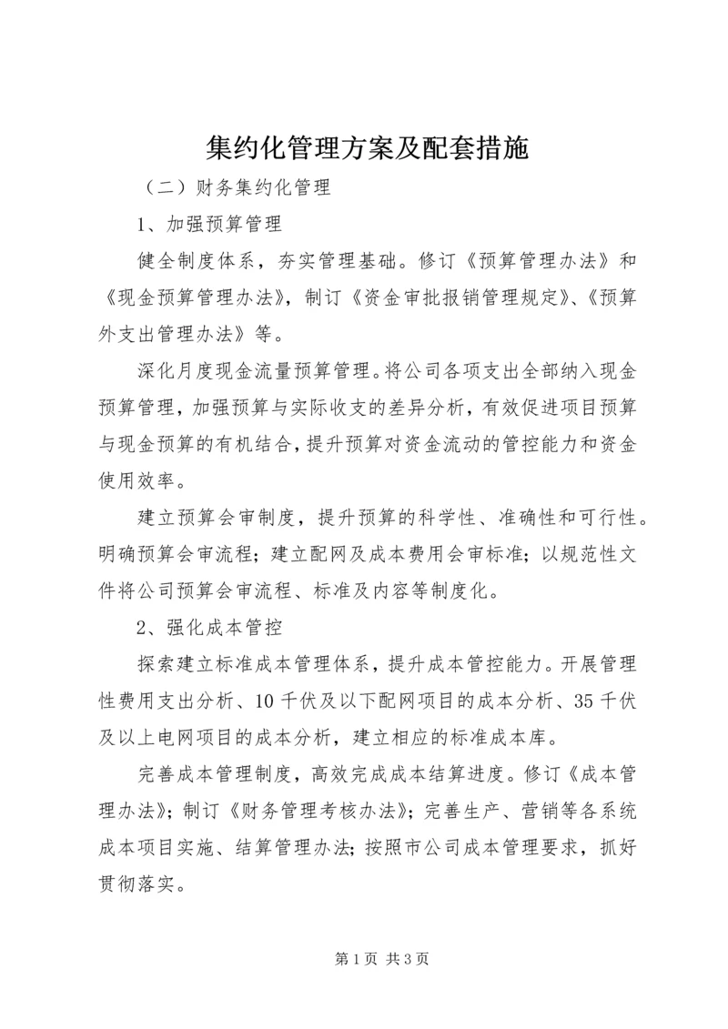 集约化管理方案及配套措施 (3).docx