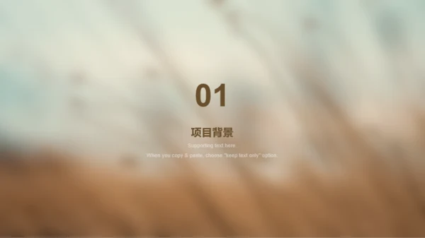 黄色创意农业生产商业计划书PPT模板