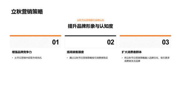 立秋营销策略PPT模板