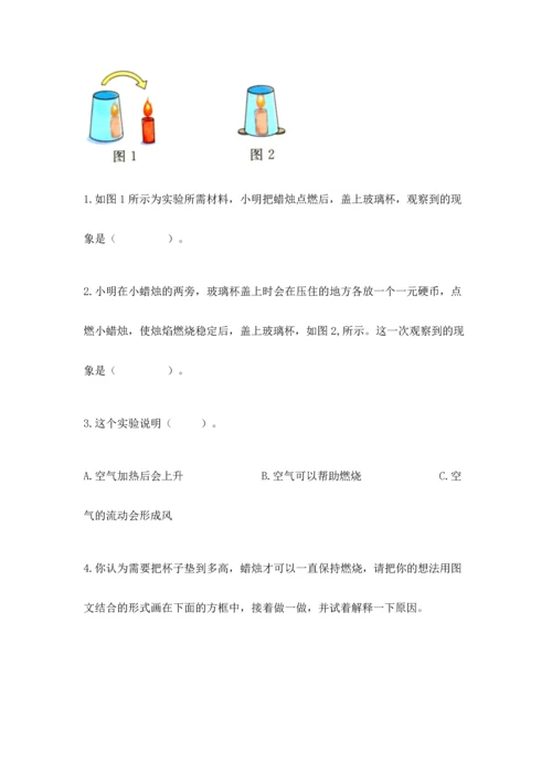 教科版三年级上册科学《期末测试卷》（精品）word版.docx