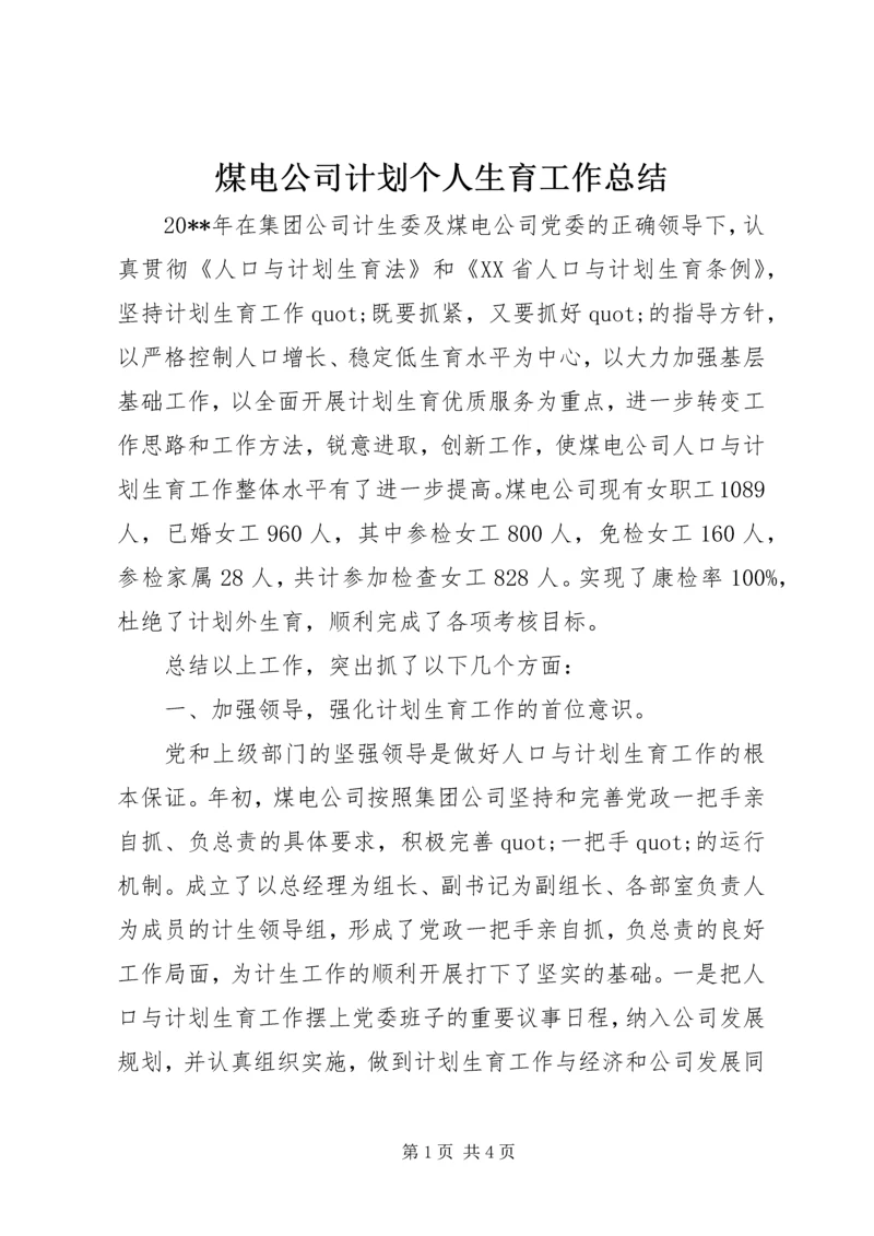 煤电公司计划个人生育工作总结.docx