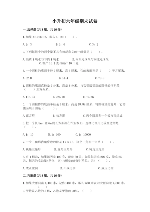 小升初六年级期末试卷完整.docx