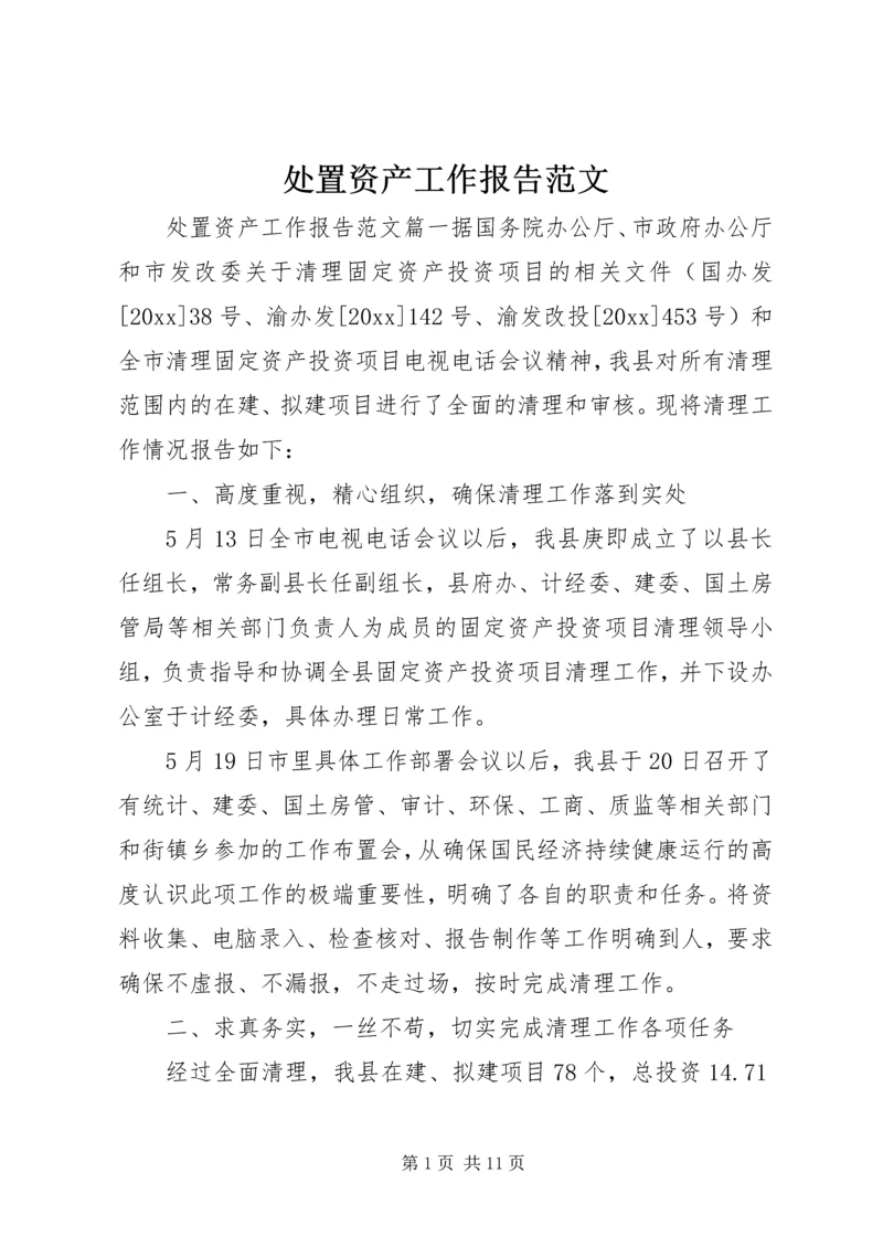 处置资产工作报告范文.docx