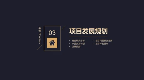 高端黑金商业计划书通用PPT模板