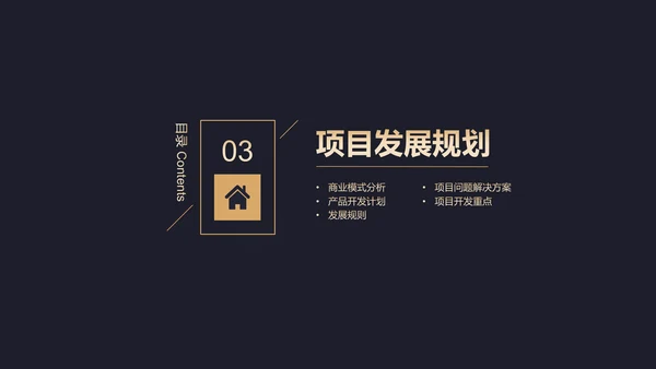 高端黑金商业计划书通用PPT模板