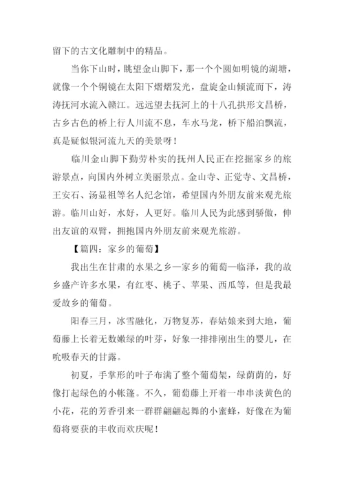 写家乡的一处景物作文.docx