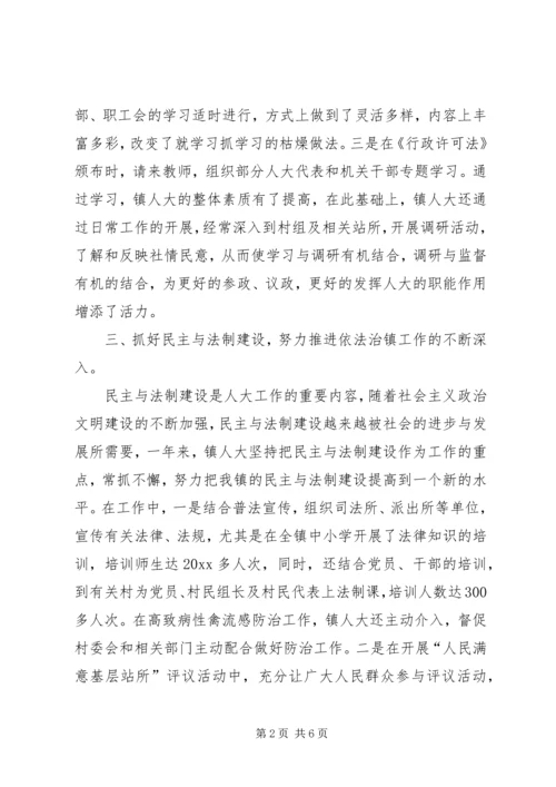 人大工作总结及镇人大工作计划.docx